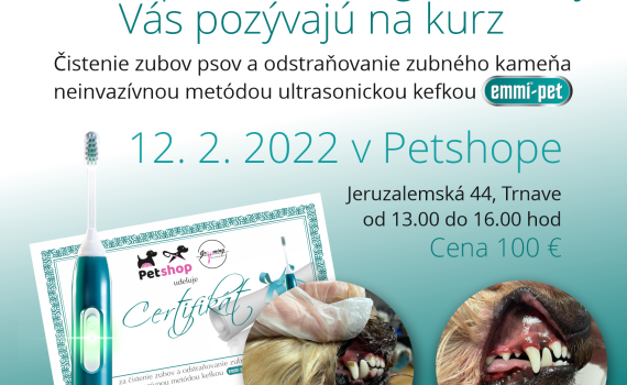 Chceš rozšíriť služby v svojom psom salóne? Novinka v poskytovaní služieb prestížnych psích salónov: sonická kefka a čistenie zúbkov neinvazívnou metódou bez nutnosti uspania psíka. Na kurze si budeš môcť kefku a príslušenstvo i zakúpiť. Pre viac info volaj 0903380329 www.petshop.eu.sk www.peknypes.sk #sonickakefka #psisalon #kurzstrihaniapsov #kurzcisteniazubov #asociaciastrihacovpsov #petshop #trnava #petshoptrnava